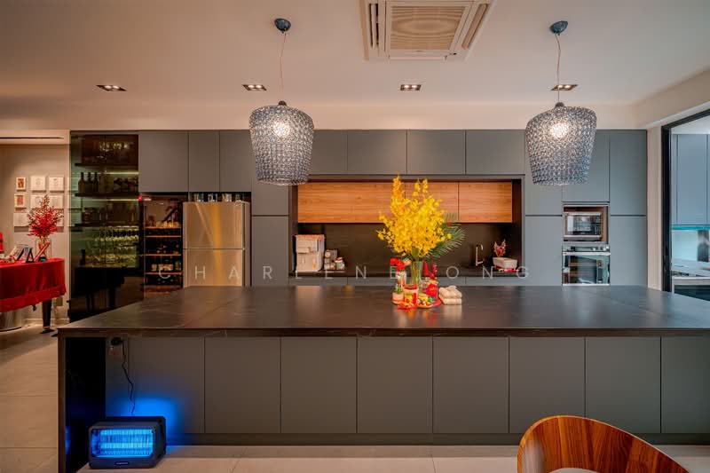 Mimosa View, , 4 Bedrooms, 3,600 sqft, Terraced House For Sale, by Charlene Ong, 500134741 - Kitchen - PropertyGuru.com.sg