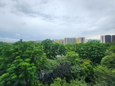 For Rent - D'Nest