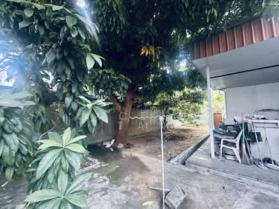 For Sale - Rare Freehold Detached ! Subdivide Potential ! Prime Location!