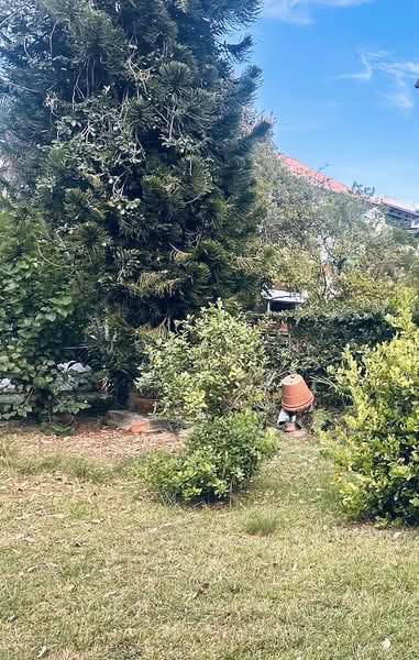 Rare Freehold Detached ! Subdivide Potential ! Prime Location!, Wide frontage/ Single Storey / Peaceful, 4 Bedrooms, 2,000 sqft, Detached House For Sale, by Jocelyn Tan, 500135050 - Garden - PropertyGuru.com.sg