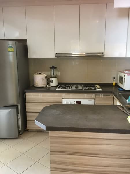 Valley Park, 477 River Valley Road, 4 Bedrooms, 1,808 sqft, Condominium For Rent, by Lynette Tan, 500135098 - Kitchen - PropertyGuru.com.sg