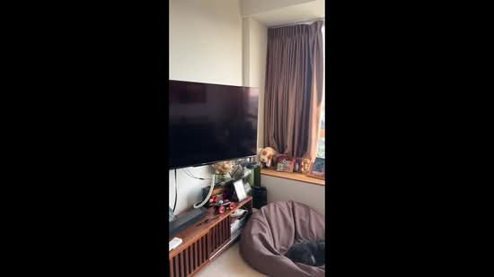 Flamingo Valley, 460 Siglap Road, 1 Bedroom, 550 sqft, Condominium For Rent, by Nicki Goh, 500135151 - PropertyGuru.com.sg
