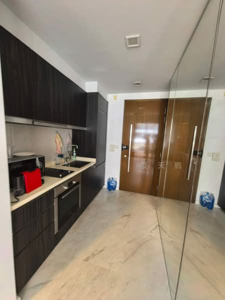 Spottiswoode 18, 18 Spottiswoode Park Road, 2 Bedrooms, 657 sqft, Condominium For Rent, by Ben XIA 夏天鹏, 500135346 - Kitchen - PropertyGuru.com.sg