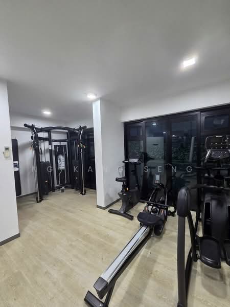Hijauan, 63 Cavenagh Road, Room Rental, 150 sqft, Apartment For Rent, by Ng Kang Seng, 500135681 - Gym - PropertyGuru.com.sg