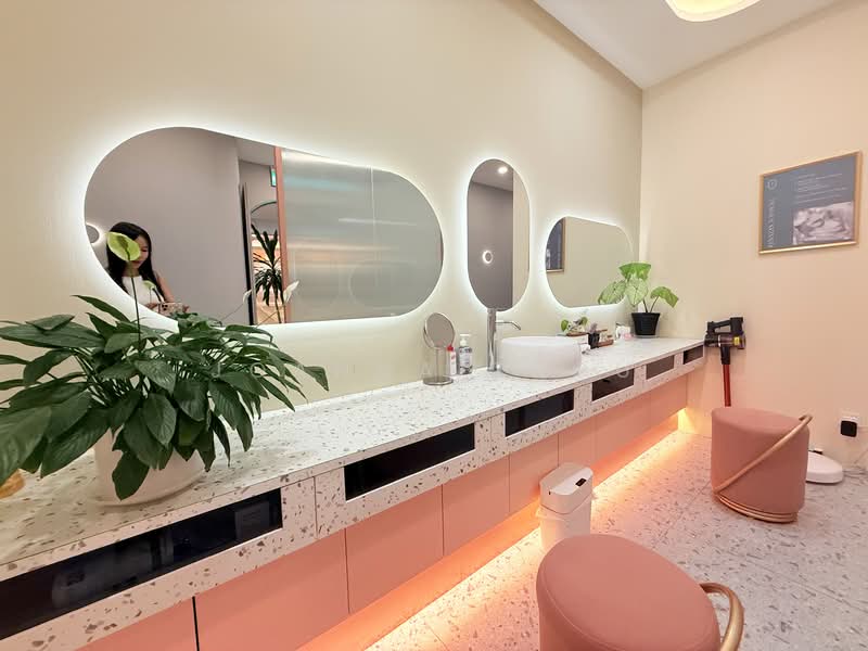The Heeren, 260 Orchard Road, 1,507 sqft, Mall Shop For Rent, by Joanna Zhou, 500135921 - Bathroom - CommercialGuru.com.sg