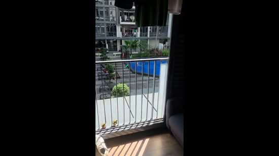 La Fiesta, Sengkang Square, Room Rental, 150 sqft, Condominium For Rent, by Zion Zhao 赵峻慷, 500136624 - PropertyGuru.com.sg