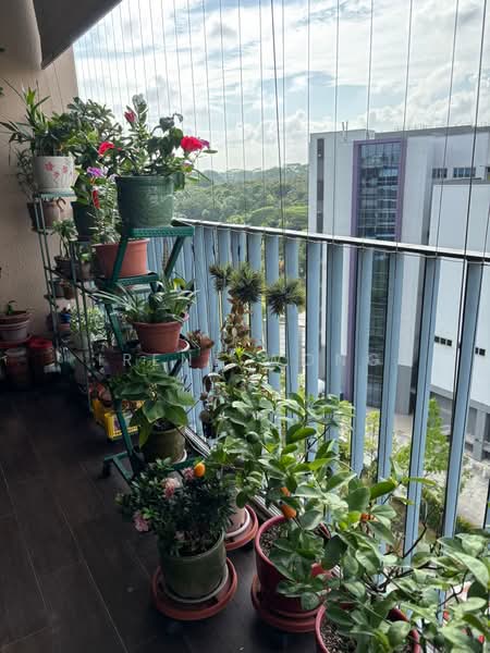 Twin Fountains, 11 Woodlands Avenue 6, 3 Bedrooms, 1,098 sqft, Executive Condominium For Sale, by Irene Wong, 500137095 - Balcony - PropertyGuru.com.sg