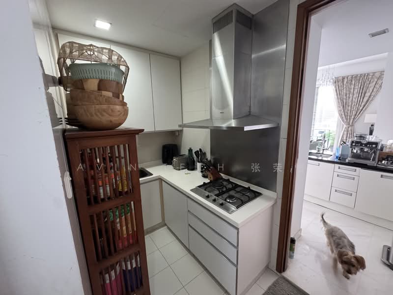 Saint Thomas Suites, 31 St. Thomas Walk, 4 Bedrooms, 2,013 sqft, Condominium For Rent, by Avin Tech 张荣恺, 500137411 - Kitchen - PropertyGuru.com.sg