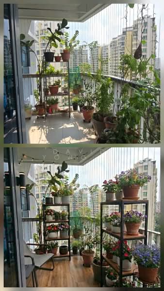 Belysa, 59 Pasir Ris Drive 1, 3 Bedrooms, 1,033 sqft, Executive Condominium For Sale, by David Yong 杨德平, 500137429 - PropertyGuru.com.sg