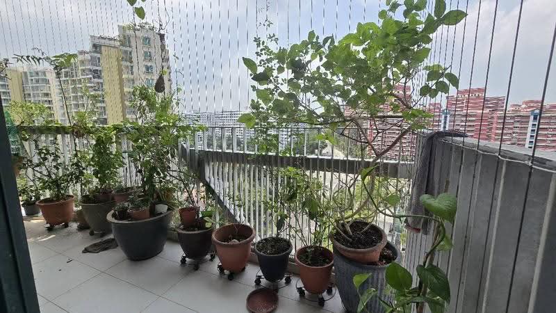 Belysa, 59 Pasir Ris Drive 1, Pasir Ris / Tampines, 3 Bedrooms, 1,033 sqft, Executive Condominium For Sale, by David Yong 杨德平, 500137429 - PropertyGuru.com.sg