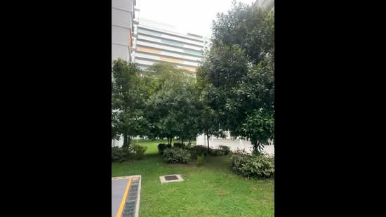 155 Jalan Teck Whye, 155 Jalan Teck Whye, 4 Bedrooms, 1,302 sqft, HDB Flat For Sale, by Phil Wong, 500138340 - PropertyGuru.com.sg