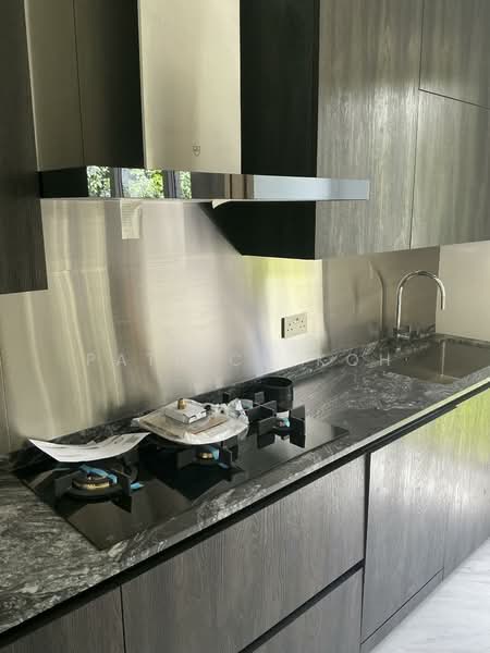 113 Shrewsbury Road, Shrewsbury road, 6 Bedrooms, 6,926 sqft, Corner Terrace For Sale, by Patrick Koh, 500138382 - Kitchen - PropertyGuru.com.sg