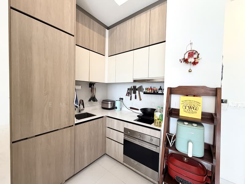 Sturdee Residences, 10 Beatty Road, 2 Bedrooms, 570 sqft, Condominium For Rent, by Emmanuel Chia, 500138478 - Kitchen - PropertyGuru.com.sg