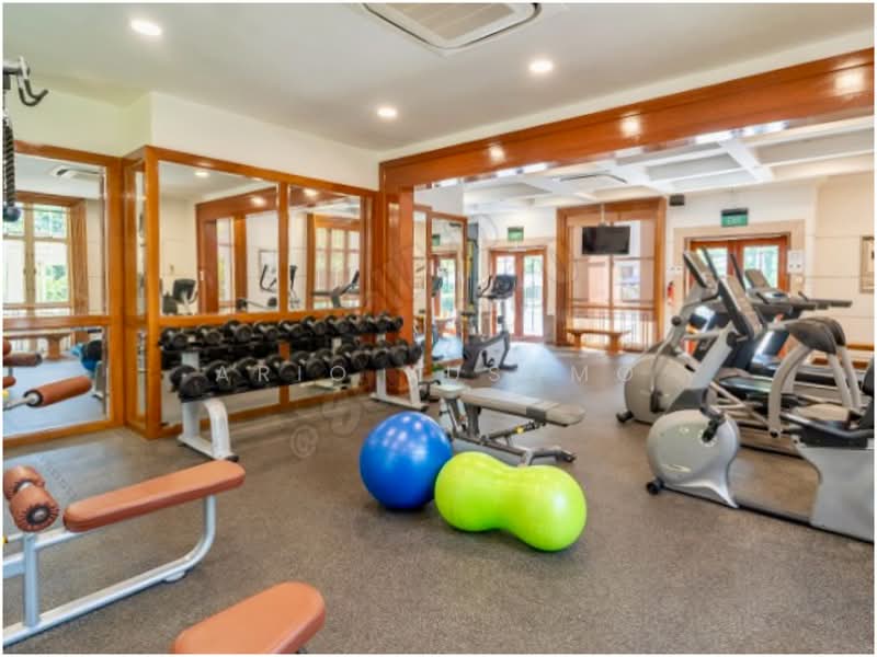 Leonie Condotel, 2 Leonie Hill Road, 4 Bedrooms, 2,715 sqft, Condominium For Rent, by Ario Kusumo, 500139559 - Gym - PropertyGuru.com.sg