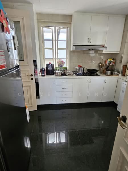 Holland Grove View, , 4 Bedrooms, 3,000 sqft, Semi-Detached House For Sale, by Clive Cheong, 500139708 - Kitchen - PropertyGuru.com.sg