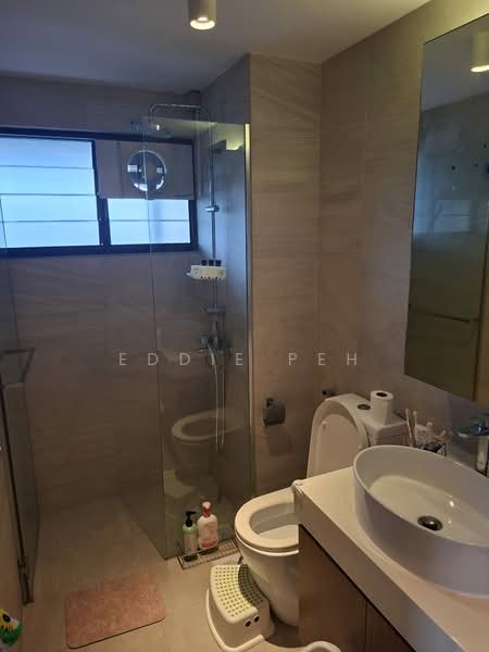 Teresa Ville, 1005 Lower Delta Road, 4 Bedrooms, 1,959 sqft, Condominium For Rent, by Eddie Peh, 500139746 - Bathroom - PropertyGuru.com.sg