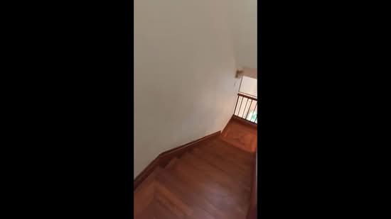 Holland Grove, Holland Grove View, 4 Bedrooms, 3,500 sqft, Semi-Detached House For Rent, by Jose Loh Zhenhao, 500139820 - PropertyGuru.com.sg