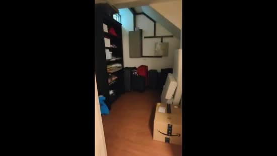 Holland Grove, Holland Grove View, 4 Bedrooms, 3,500 sqft, Semi-Detached House For Rent, by Jose Loh Zhenhao, 500139820 - PropertyGuru.com.sg