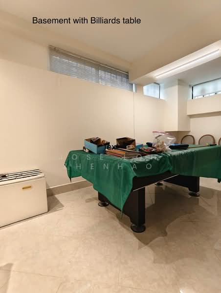 Holland Grove, Holland Grove View, 4 Bedrooms, 3,500 sqft, Semi-Detached House For Rent, by Jose Loh Zhenhao, 500139820 - Basement - PropertyGuru.com.sg