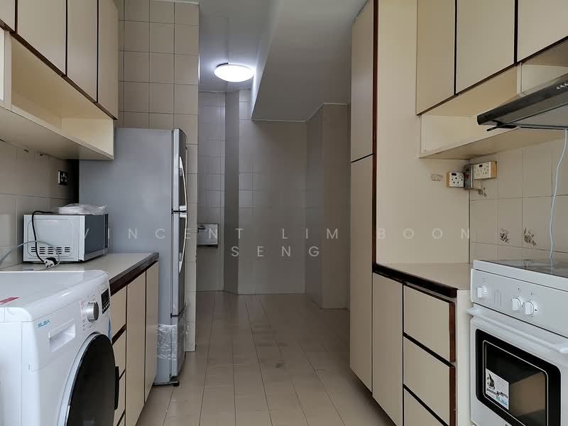 336 River Valley, 336 River Valley Road, 2 Bedrooms, 1,539 sqft, Apartment For Rent, by Vincent Lim Boon Seng, 500139842 - Kitchen - PropertyGuru.com.sg