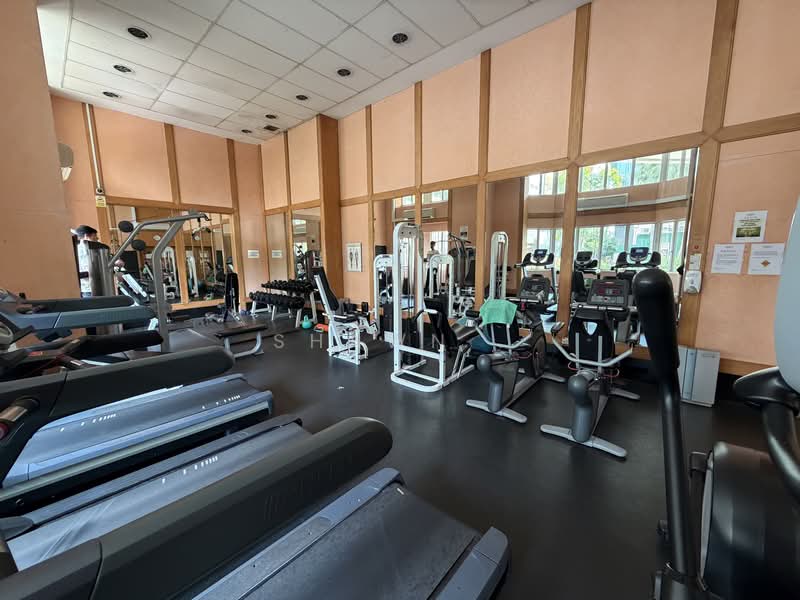 Emerald Garden, 33 Club Street, Room Rental, 200 sqft, Condominium For Rent, by Shawn, 500140095 - Gym - PropertyGuru.com.sg