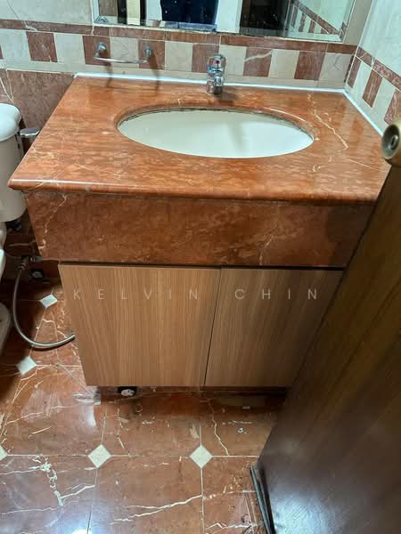 The Anchorage, 370E Alexandra Road, 2 Bedrooms, 1,163 sqft, Condominium For Rent, by Kelvin Chin, 500140338 - Bathroom - PropertyGuru.com.sg