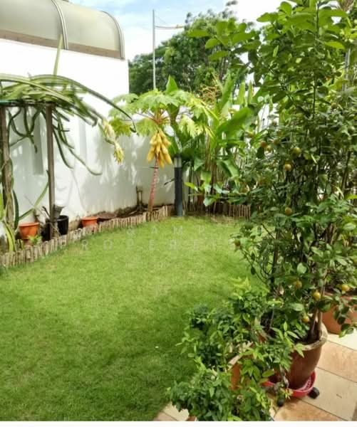 Lor Ong Lye / Lor Lew Lian, Lor Ong Lye / Lor Lew Lian, Room Rental, 110 sqft, Terraced House For Rent, by ANGELA HAN SIEW JONG, 500140426 - Garden - PropertyGuru.com.sg