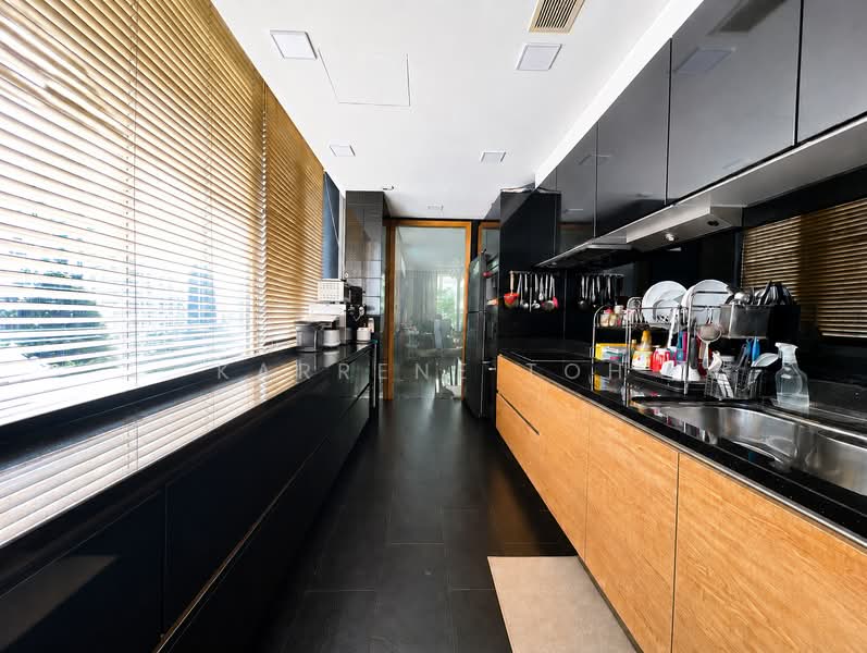 Helios Residences, 17 Cairnhill Circle, 3 Bedrooms, 1,701 sqft, Condominium For Sale, by Karrene Toh, 500140457 - Kitchen - PropertyGuru.com.sg