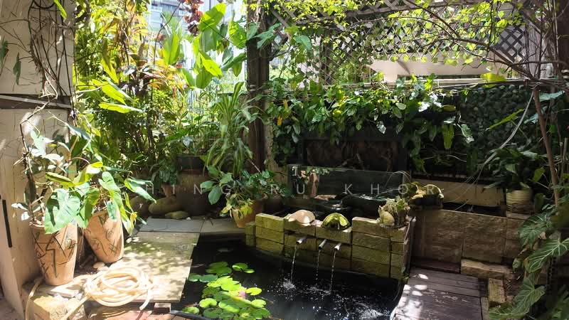 Jalan Punai, , 7 Bedrooms, 4,965 sqft, Terraced House For Sale, by Ching Ru Khor, 500140574 - Garden - PropertyGuru.com.sg