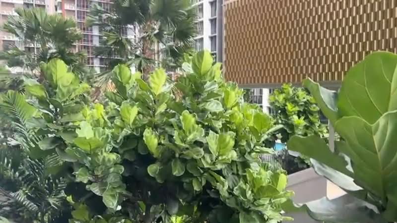 Penrose, 20 Sims Drive, 1 Bedroom, 484 sqft, Condominium For Sale, by June Hung, 500140688 - PropertyGuru.com.sg