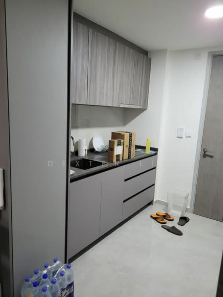 Sixteen35 Residences, 16 Lorong 35 Geylang, 1 Bedroom, 484 sqft, Condominium For Rent, by Dexter Lim, 500140705 - Kitchen - PropertyGuru.com.sg