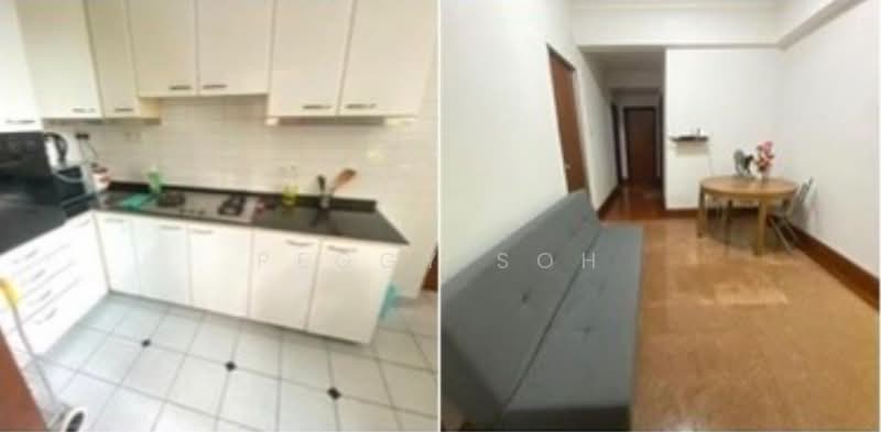 Springdale Condo, 53 Hindhede Walk, Room Rental, 300 sqft, Condominium For Rent, by Peggy Soh, 500140787 - Kitchen - PropertyGuru.com.sg