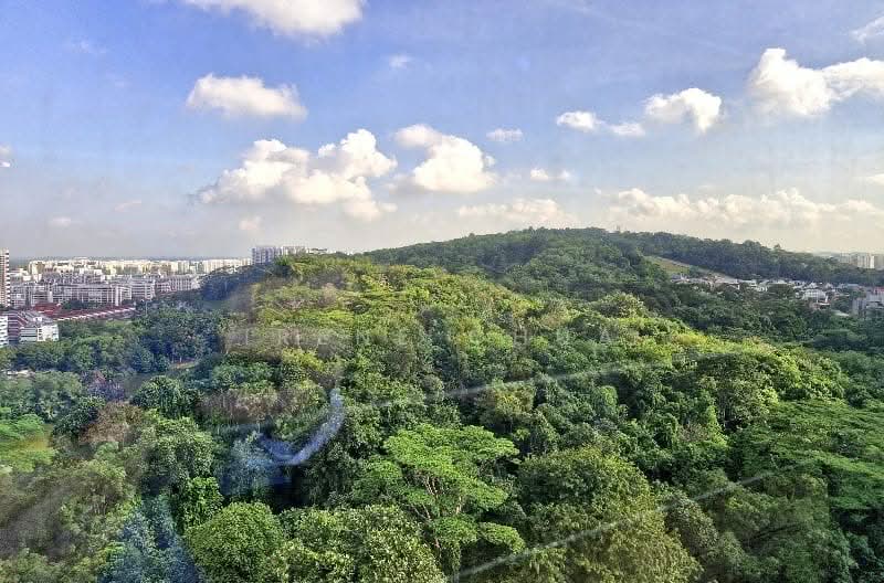 Regent Heights, 56 Bukit Batok East Avenue 5, 2 Bedrooms, 1,023 sqft, Condominium For Rent, by Irene Chua, 500141785 - View - PropertyGuru.com.sg