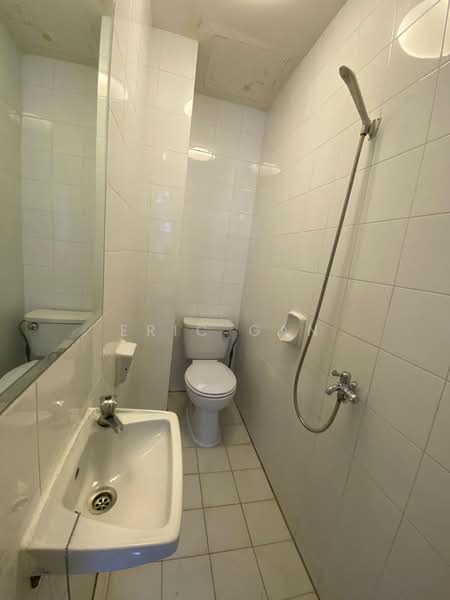 Royal Palm Mansions, 330 Pasir Panjang Road, 3 Bedrooms, 1,238 sqft, Condominium For Rent, by Eric Gan, 500142063 - Bathroom - PropertyGuru.com.sg