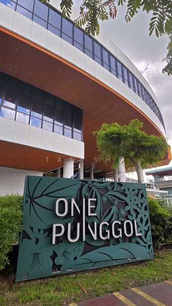 678C Punggol Drive, 678C Punggol Drive, 3 Bedrooms, 1,216 sqft, HDB Flat For Sale, by Tan Shi Jie, 500142151 - Exterior - PropertyGuru.com.sg