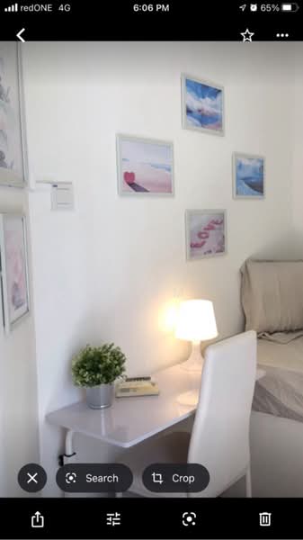 The Mayfair, , Studio, 180 sqft, Condominium For Rent, by Swan Tham, 500142451 - PropertyGuru.com.sg