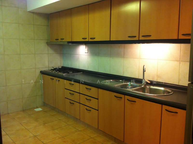 UE Square, 205 River Valley Road, 4 Bedrooms, 1,572 sqft, Apartment For Sale, by Tan Tien An (陈天安), 500142630 - Kitchen - PropertyGuru.com.sg