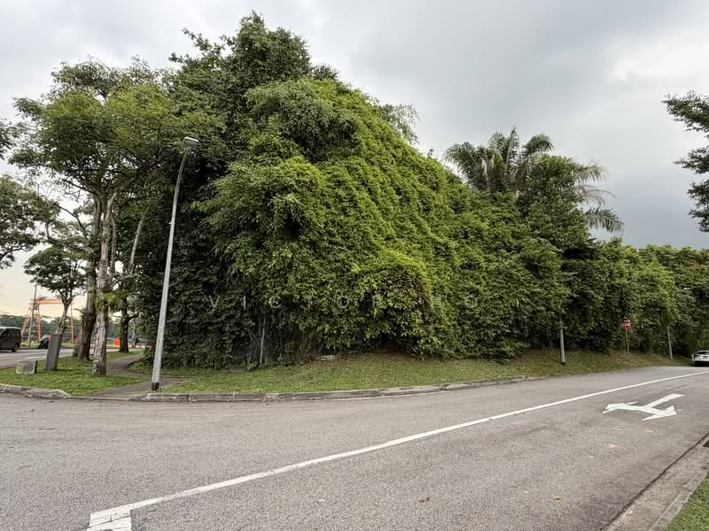 Brizay park, Old holland road, 6 Bedrooms, 5,000 sqft, Good Class Bungalow For Sale, by Victor Ho, 500142928 - PropertyGuru.com.sg