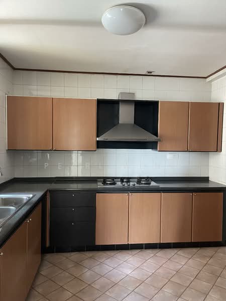 Spring Grove, 53 Grange Road, 4 Bedrooms, 1,668 sqft, Condominium For Rent, by Pearl Wong, 500143033 - Kitchen - PropertyGuru.com.sg