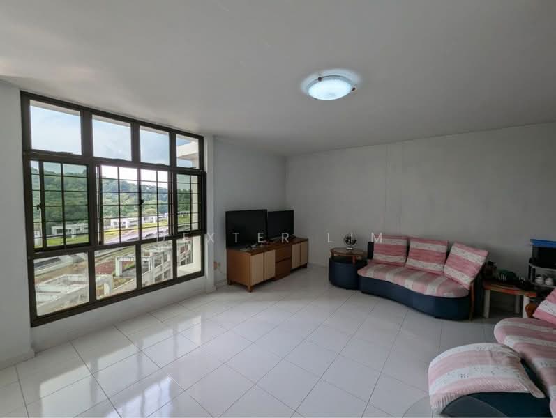 470 Segar Road, 470 Segar Road, 3 Bedrooms, 1,200 sqft, HDB Flat For Sale, by Dexter Lim, 500143598 - Living Room - PropertyGuru.com.sg