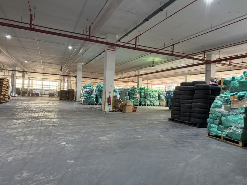 Rampup warehouse - loading bays with dock levellers, , 16,500 sqft, Warehouse For Rent, by Betsy Loh, 500143876 - Interior - CommercialGuru.com.sg