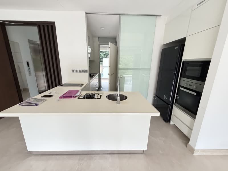 Three Balmoral, 3 Balmoral Road, 3 Bedrooms, 1,539 sqft, Condominium For Rent, by Stephanie Yong, 500144189 - Kitchen - PropertyGuru.com.sg