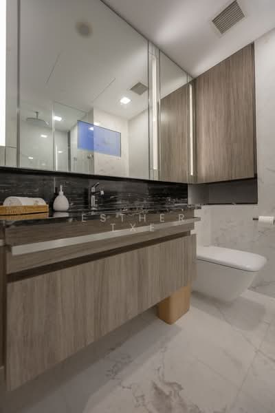 Wallich Residence, 3 Wallich Street, 3 Bedrooms, 1,755 sqft, Condominium For Sale, by Esther Txe, 500144269 - Bathroom - PropertyGuru.com.sg
