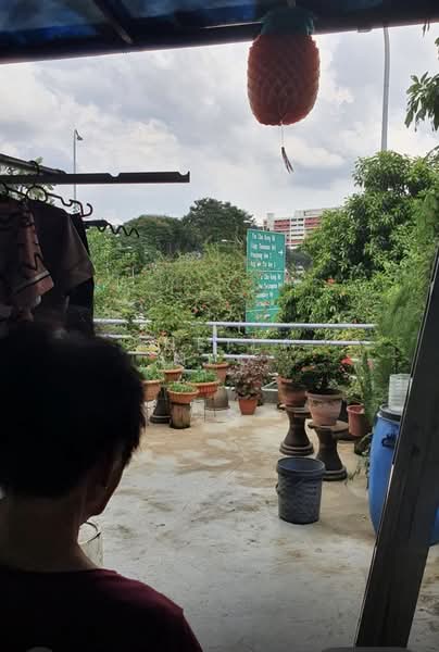 Yio Chu Kang Terrace, Yio Chu Kang Terrace, Room Rental, 300 sqft, Semi-Detached House For Rent, by Sheila Neo, 500144909 - Balcony - PropertyGuru.com.sg