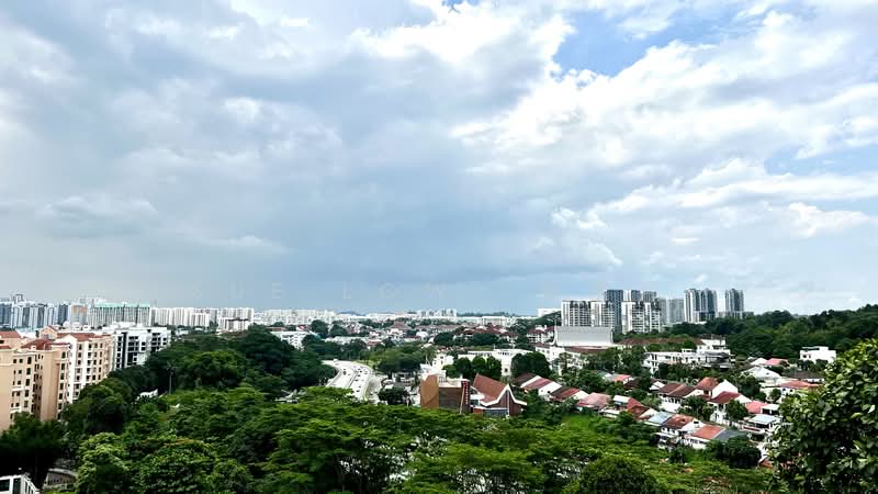 Summerhill, 50 Hume Avenue, 4 Bedrooms, 3,621 sqft, Condominium For Rent, by Sue Low 刘素月, 500145034 - Nature view - PropertyGuru.com.sg