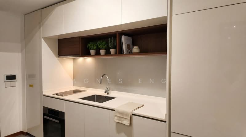 Fourth Avenue Residences, 14 Fourth Avenue, 1 Bedroom, 484 sqft, Condominium For Rent, by Agnes Eng, 500145409 - Kitchen - PropertyGuru.com.sg
