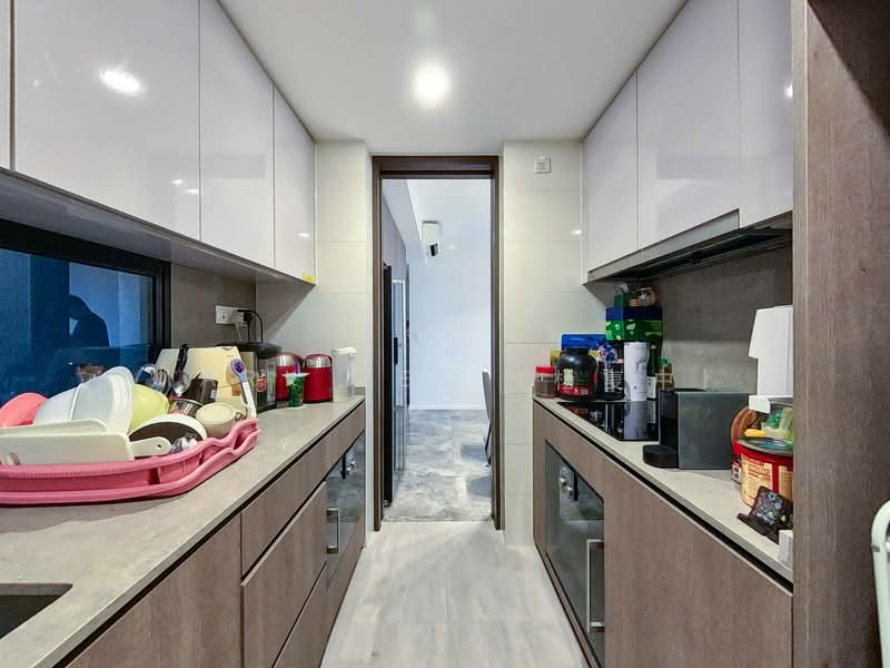 Avenue South Residence, 11 Silat Avenue, 3 Bedrooms, 947 sqft, Condominium For Sale, by Mark Yeo (杨复中), 500145444 - Kitchen - PropertyGuru.com.sg