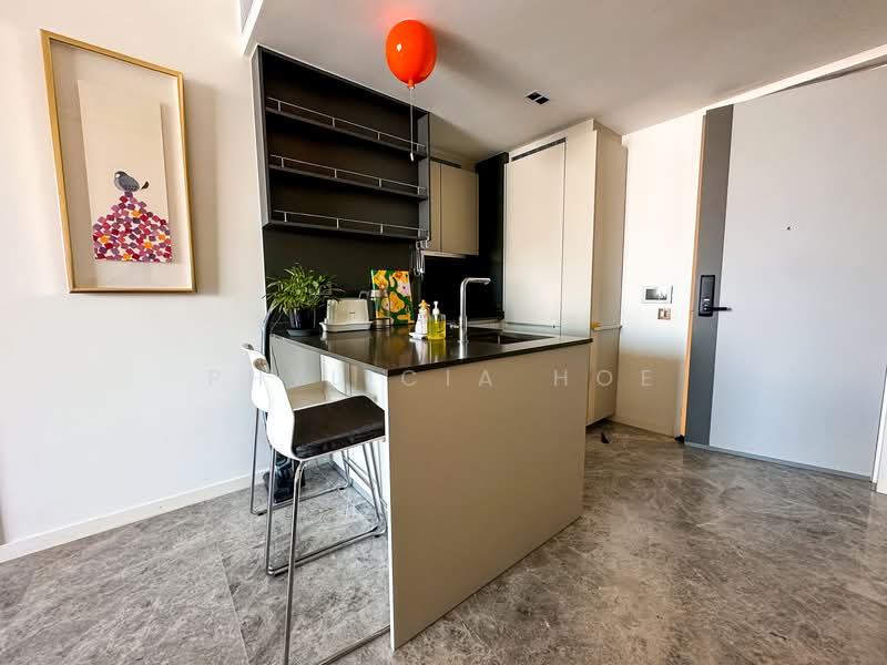 Riviere, 1 Jiak Kim Street, 1 Bedroom, 560 sqft, Condominium For Rent, by Phylicia Hoe, 500145538 - Kitchen - PropertyGuru.com.sg