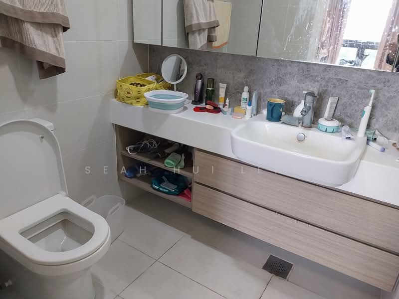 The Lakefront Residences, 42 Lakeside Drive, 2 Bedrooms, 721 sqft, Condominium For Rent, by Seah Hui Leng, 500145626 - Bathroom - PropertyGuru.com.sg