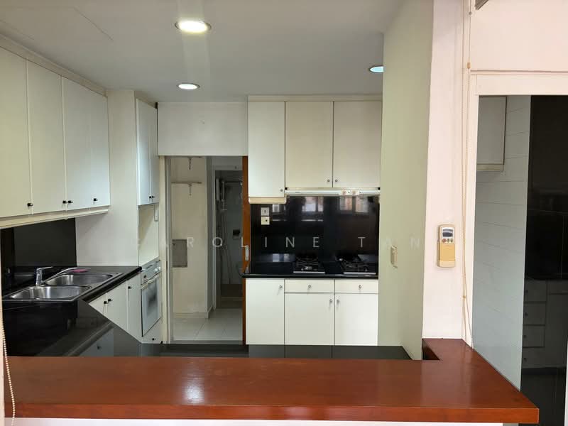 Horizon Towers, 29 Leonie Hill, 4 Bedrooms, 2,379 sqft, Condominium For Rent, by Caroline Tan, 500145688 - Kitchen - PropertyGuru.com.sg
